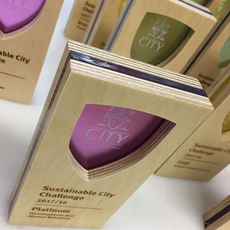Sustainable Challenge Awards made from birch ply with trasparent detail