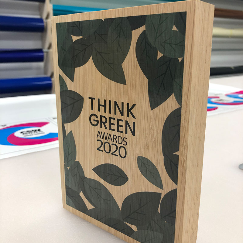 Fallen Tree sustainable Awards with printed design to front